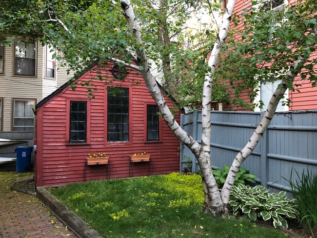 Garden - 273 Brackett St