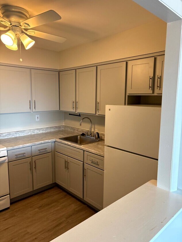 Foto principal - FAIRDALE_3362