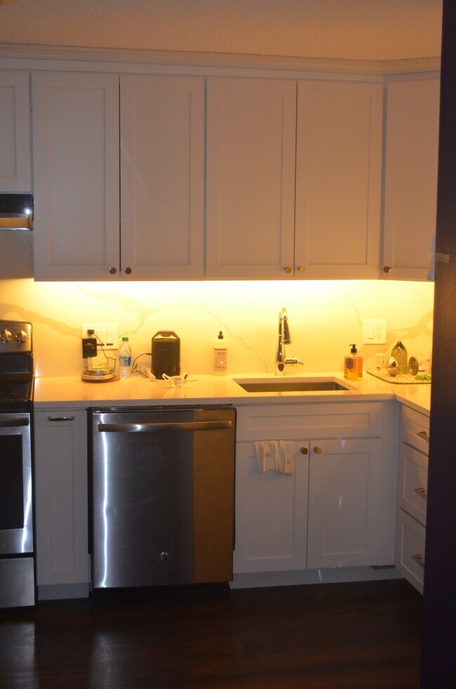 Kitchen Counter & Cabinets - 10 Northbrook Dr