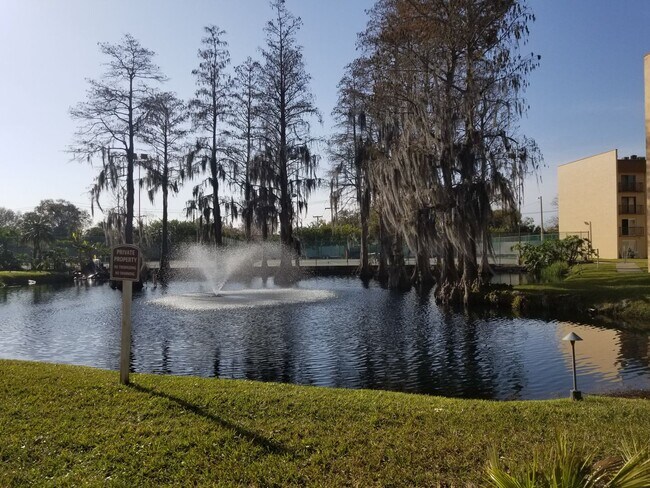 Foto del edificio - Tampa Racquet Club!