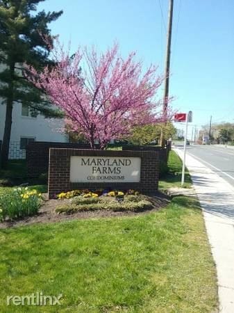Primary Photo - 1 br, 1 bath Condo - 11400 Cherry Hill Road
