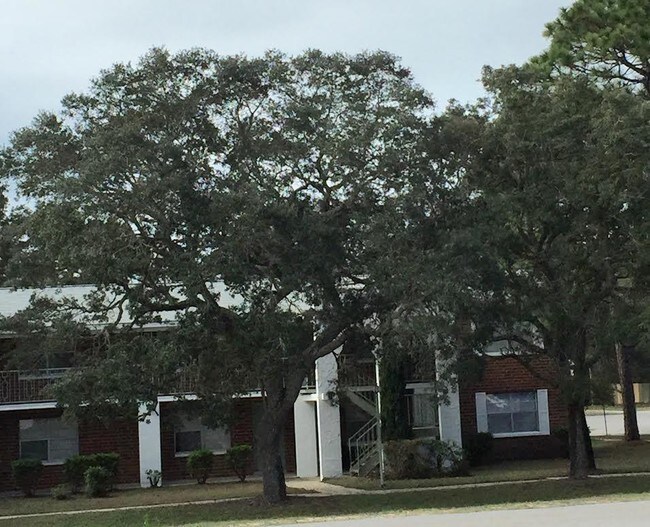 pine ridge apartments at shalimar shalimar fl pine ridge apartments at shalimar rentals shalimar fl apartments pine ridge apartments at shalimar shalimar fl pine ridge apartments at shalimar rentals shalimar fl apartments