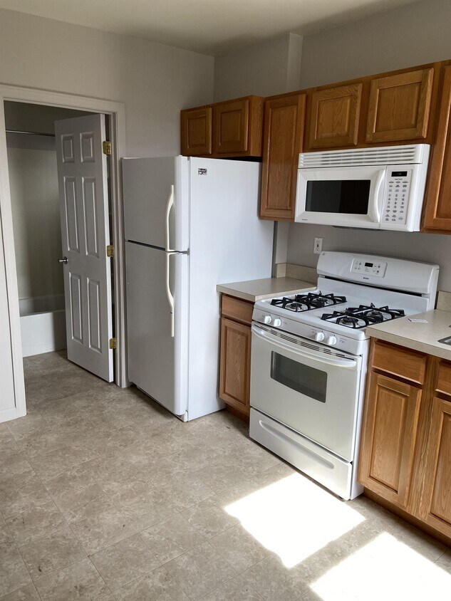 1057 Eureka Rd Wyandotte MI 48192 Townhouse For Rent In Wyandotte 