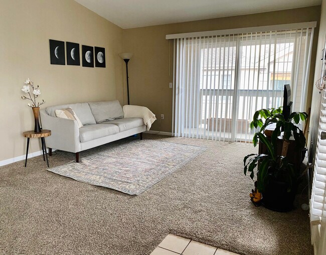 1146 Opal St Unit 202, Broomfield, CO 80020 Condo for Rent in