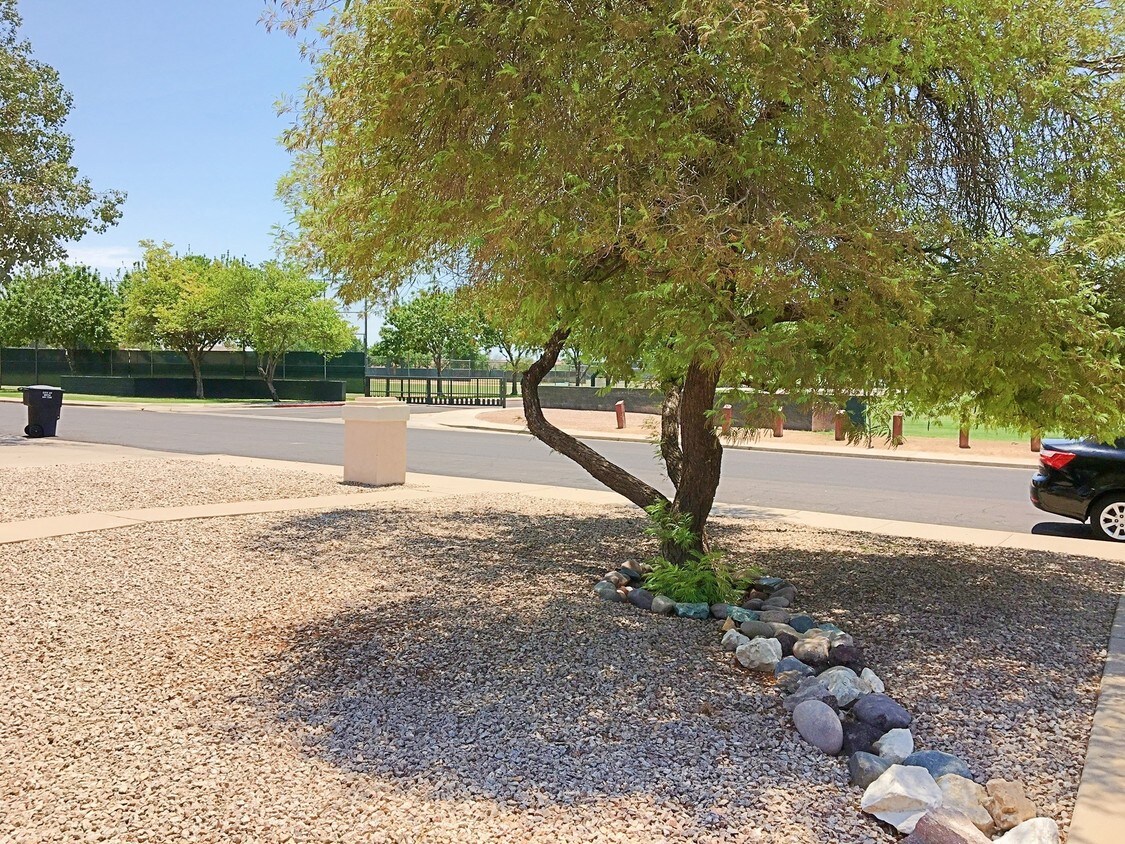 Primary Photo - HoHoKam