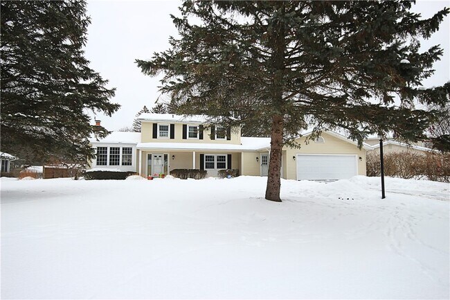 Foto del edificio - 16 Buchanan Rd