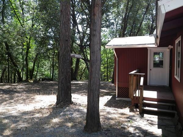 Foto del edificio - Restful in the trees!