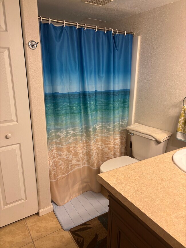 Bathroom - 3740 E 99th Way