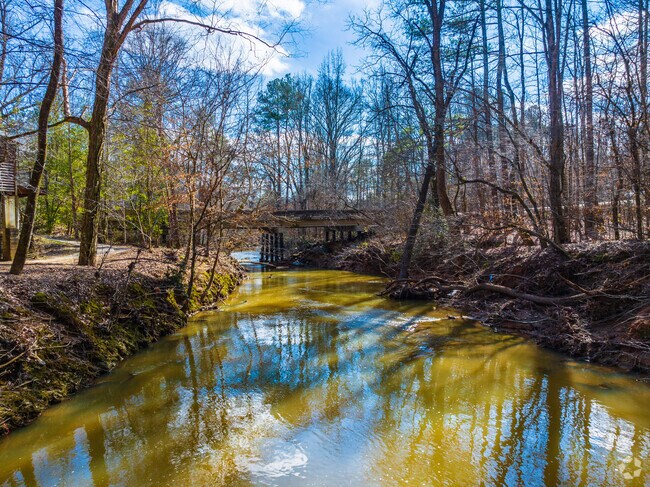 Alcovy River at Freeman's Mill Park in Lawrenceville offers beautiful scenic views.