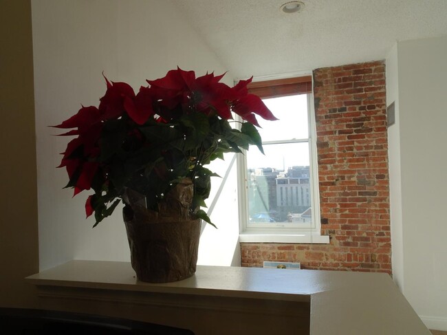Washington Monument View from Open Kitchen - 1615 Q St NW