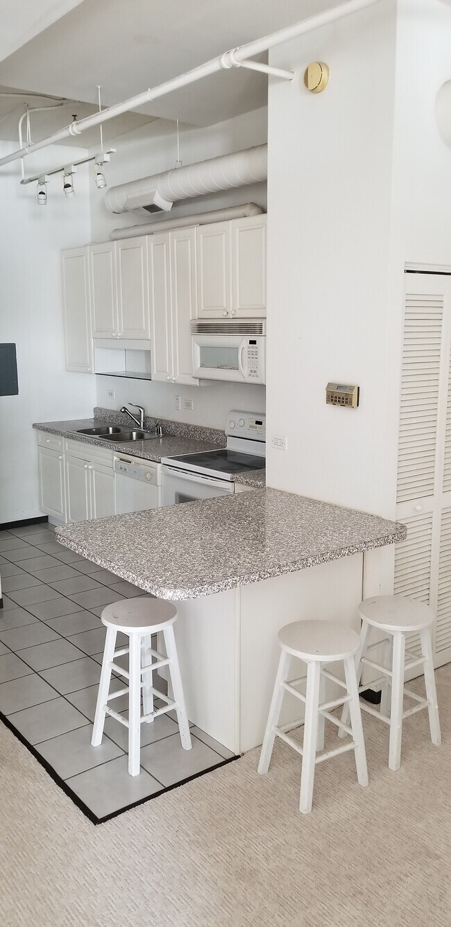 801 S Wells St Unit 404, Chicago, IL 60607 Condo for Rent in Chicago