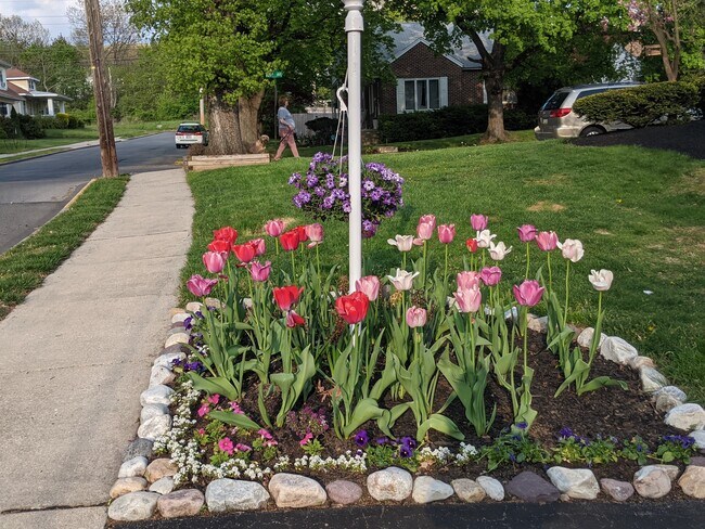 Beautiful side yard. - 4250 10th Ave