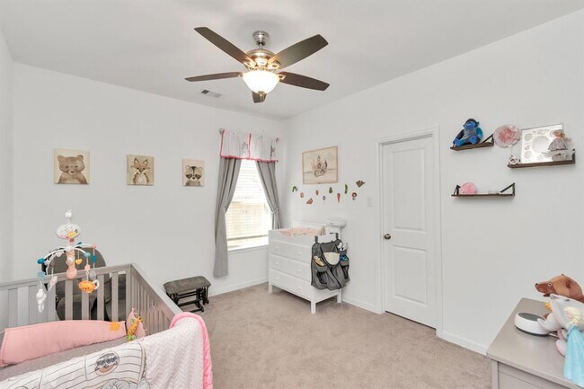 Building Photo - 5007 Sierra Ridge Dr