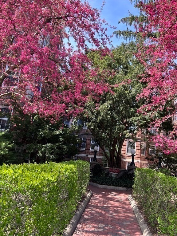 Building Photo - 41 Linnaean St