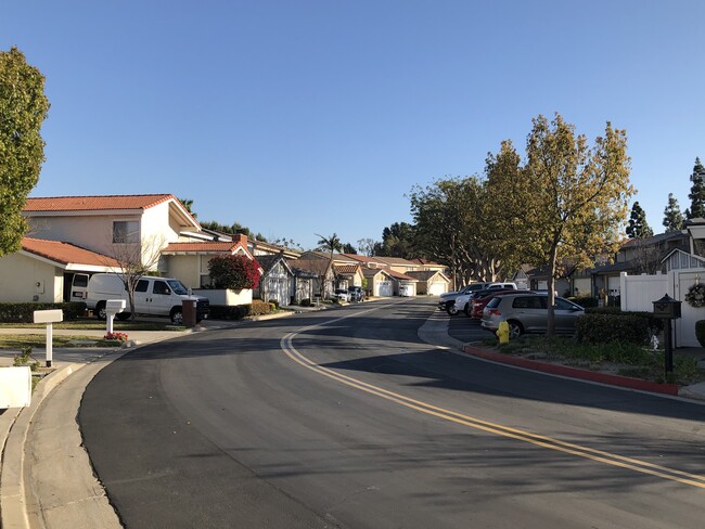 Cul-de-sac - 920 S Ridgecrest Cir