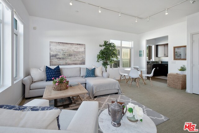 Foto del edificio - 4050 Glencoe Ave