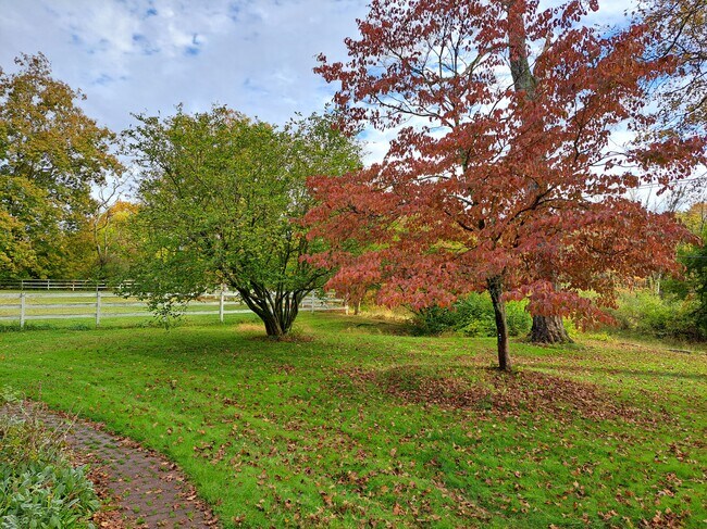 Vista del patio delantero desde la habitación - 100 Pleasant Valley Rd