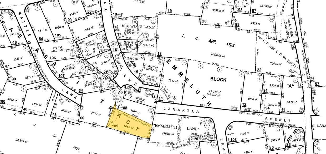 Mapa de la parcela - 1035 Wong Ln