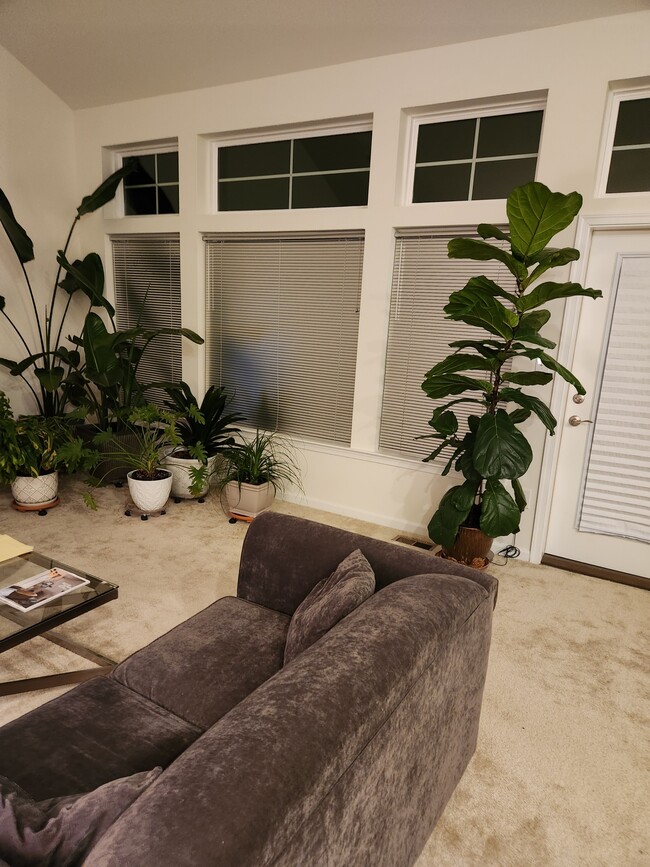 Living Room - 30246 Piping Plover Dr