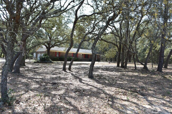 Foto del edificio - Xtra Large Corner Lot- 3 Bedroom 2 Bath In...