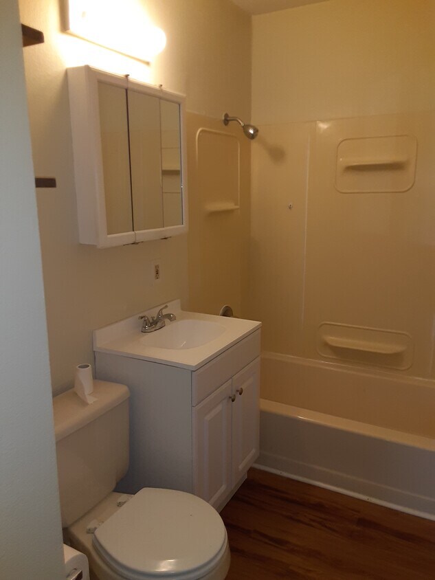 110 Cindy Ln, Shiloh, IL 62269 House Rental in Shiloh, IL