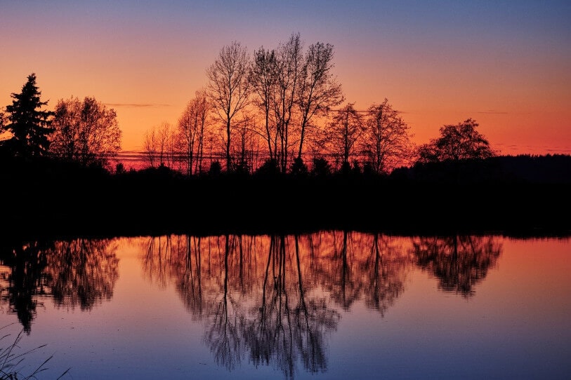 Surrey