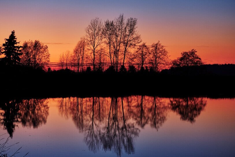Surrey