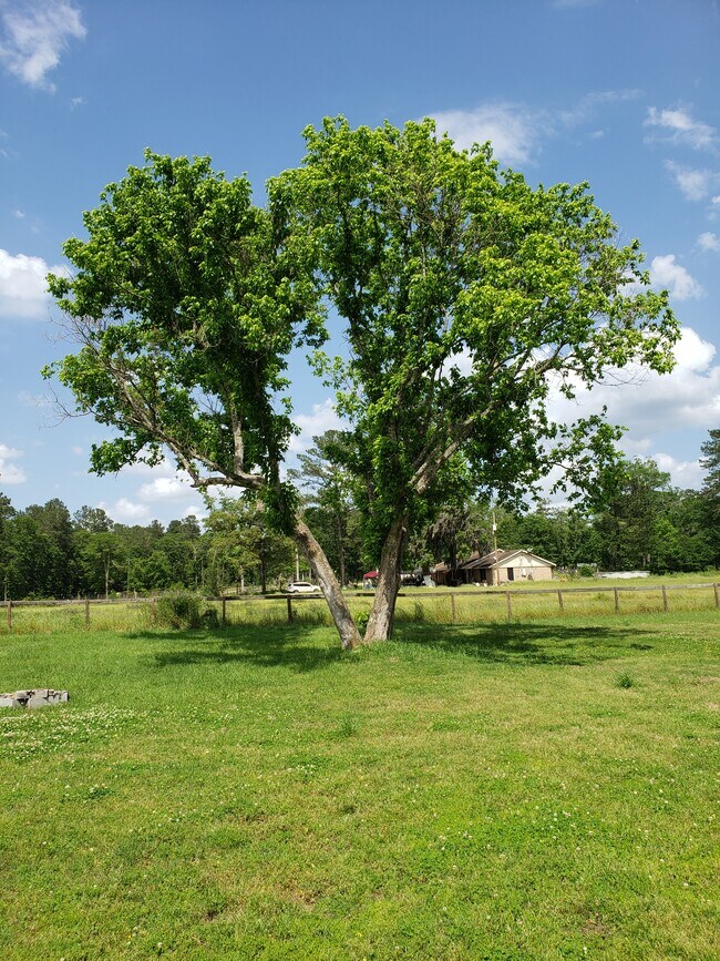 Property - 4411 FM 2693 Rd W