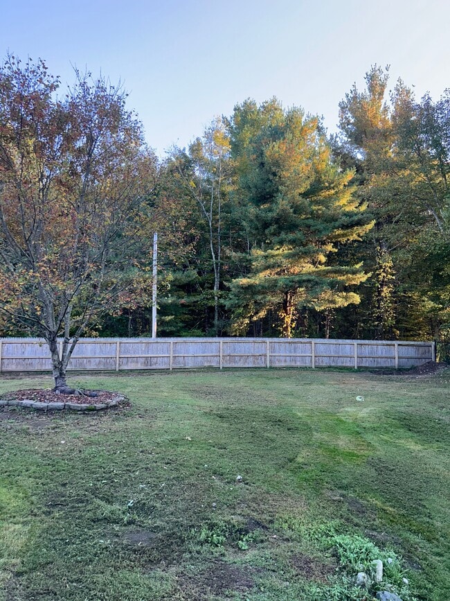 Fenced Side - 31 Walling Rd