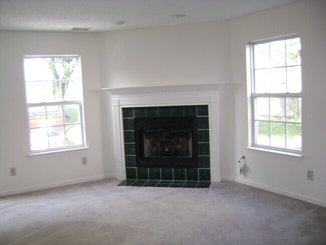Fireplace - 482 Harmony Dr