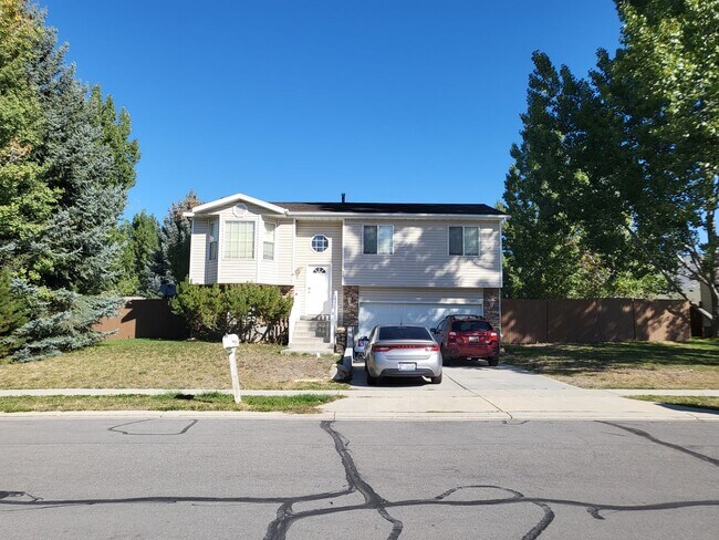Foto del edificio - Gorgeous 4 bed 2 bath home in Heber