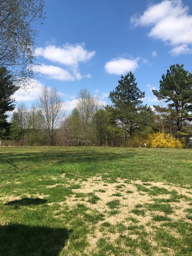 Back yard - 112 Rolling Acres Dr
