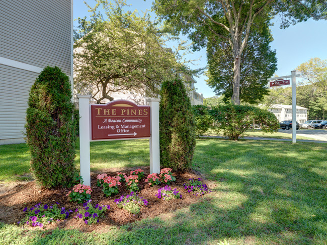 The Pines Apartments - Brockton, MA | Apartments.com