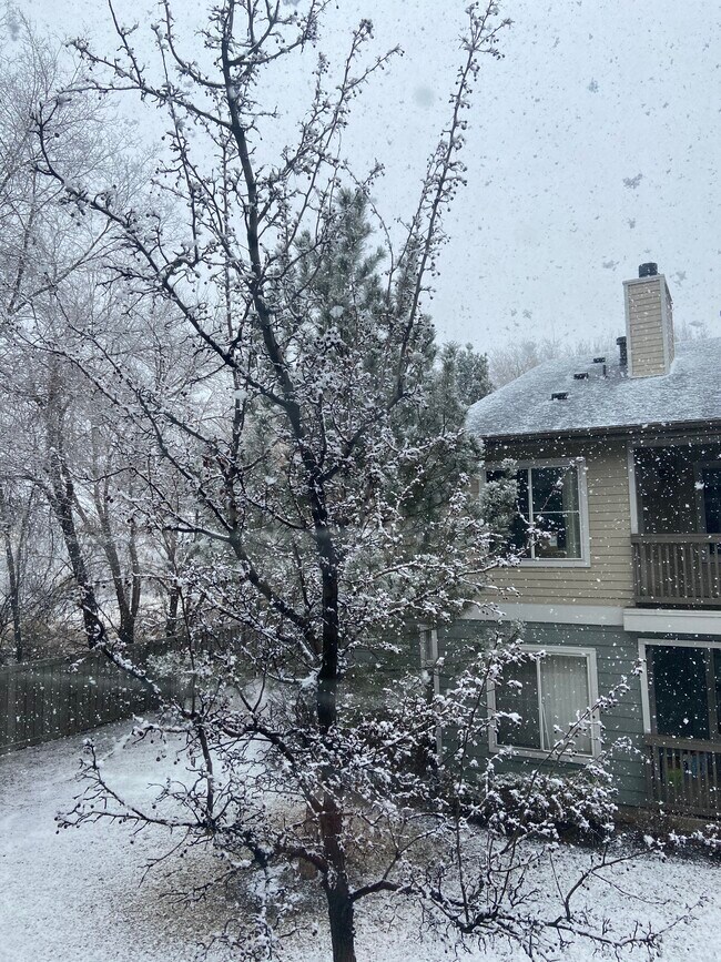 View from bedroom window - 1109 E 6720 S