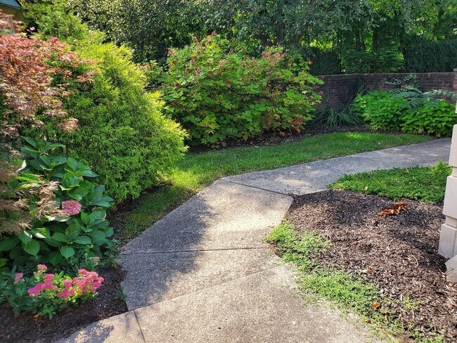 Foto del edificio - 8561 Olde Ml Cir N Dr