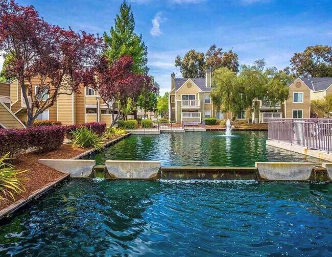 130 Reflections Dr Unit 17, San Ramon, CA 94583 Condo for Rent in San