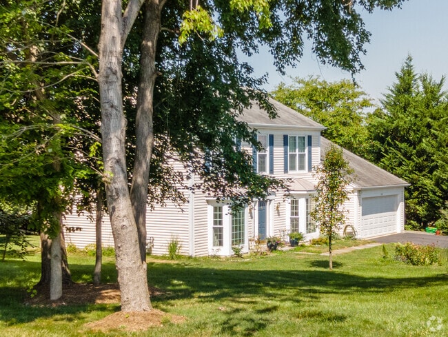 Larger trees offer shade next to many homes in the town of Herndon, VA.