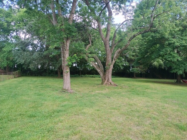 Patio trasero parecido a un parque - 244 Sterling Rd