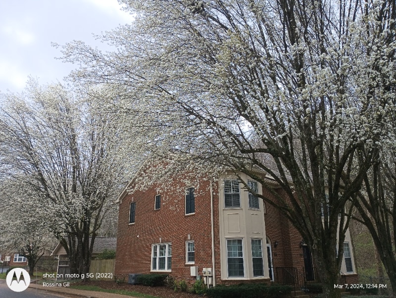212 Windsor Terrace Dr, Nashville, TN 37221 Townhome Rentals in