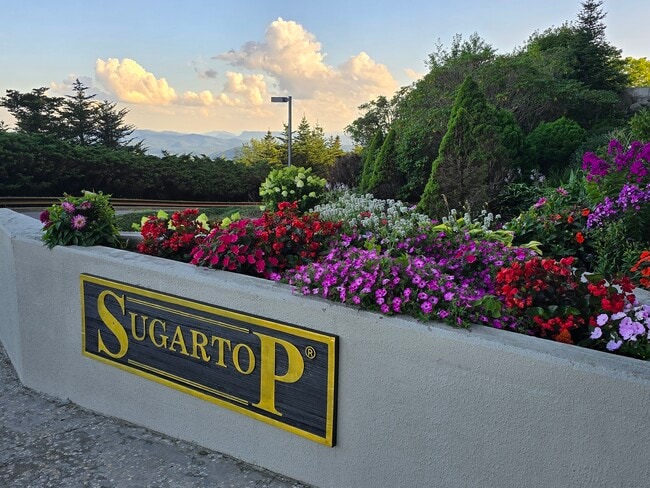 Building Photo - 303 Sugar Top Dr