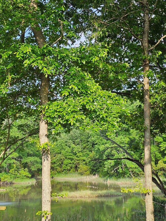 Foto del edificio - 4101 Long Point Blvd