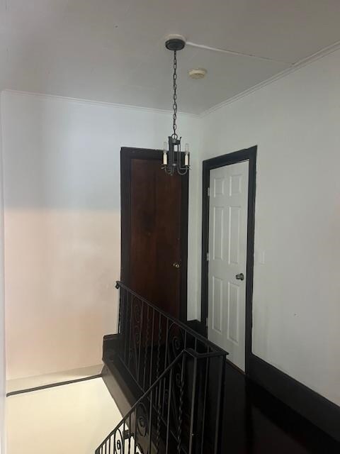 Foto del edificio - 31 73rd St