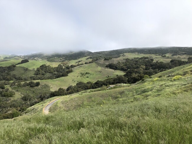 View to back - 2596 Black Walnut Rd