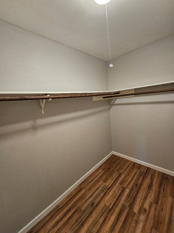 Building Photo - 19403 Youngtree Cir