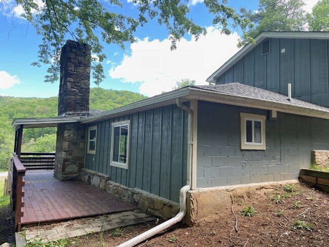 Building Photo - "Charming Cottage Retreat in Gerton, NC!"