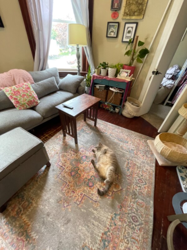 Foto del edificio - 1425 Allison St NW