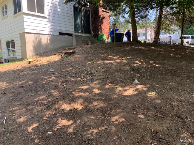 Building Photo - 57 Lawrence St