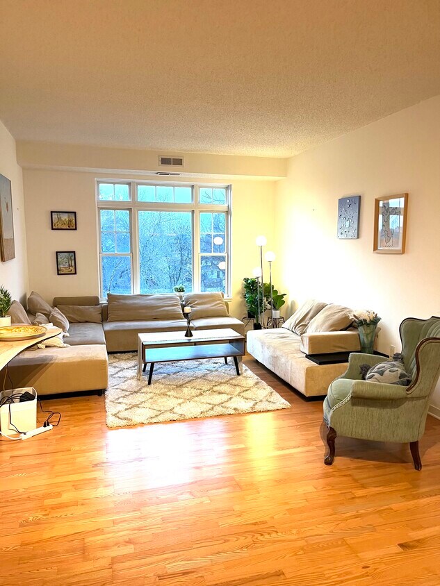 619 8th St SE Unit 402, Minneapolis, MN 55414 Condo for Rent in