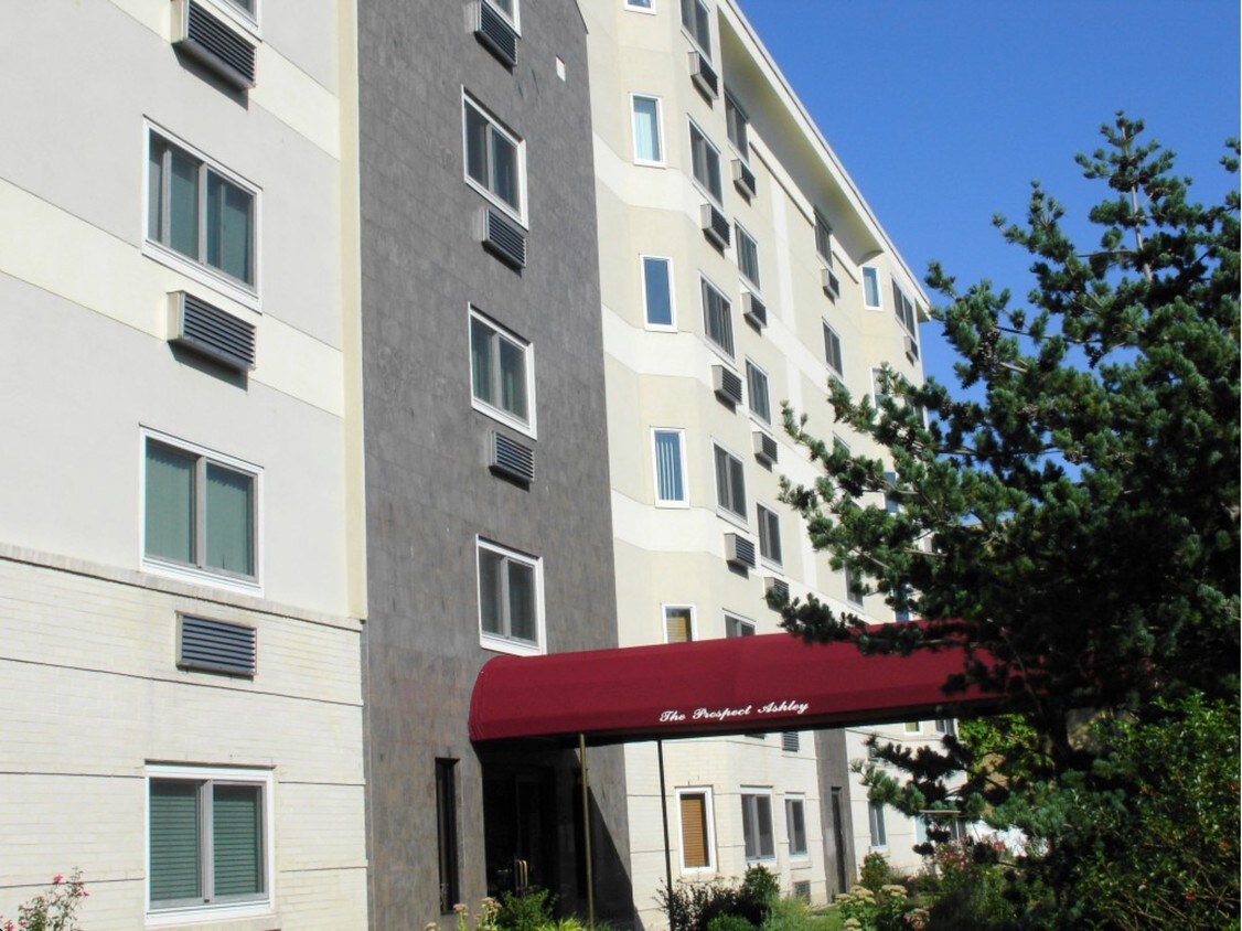 310 Lookout Ave, Hackensack, NJ 07601 Condo for Rent in Hackensack, NJ