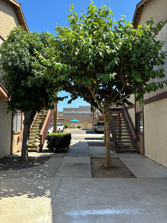 Foto del edificio - Palms Apartments San Marcos 2 bed 2 bath